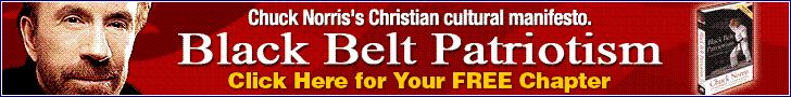 Download a free chapter from Black Belt Patriotism by clicking here